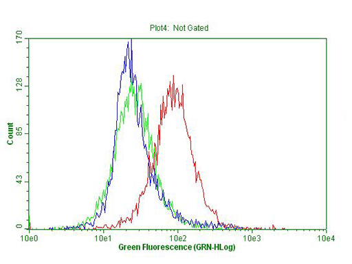 p16INK4a / CDKN2A Antibody - Flow cytometric Analysis of permeabilized HEK293T cells, using anti-CDKN2A antibody. (Red), compared to an IgG isotype control. (green) and negative control. (PBS). (Blue). (1:100)