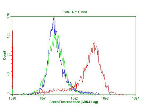 p16INK4a / CDKN2A Antibody - Flow cytometric Analysis of permeabilized HEK293T cells, using anti-CDKN2A antibody. (Red), compared to an IgG isotype control. (green), and negative control. (PBS). (Blue). (1:100)