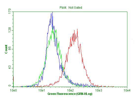 p16INK4a / CDKN2A Antibody - Flow cytometric Analysis of permeabilized Hek293T cells, using anti-CDKN2A antibody. (Red), compared to an IgG isotype control. (green) and negative control. (PBS). (Blue). (1:100)