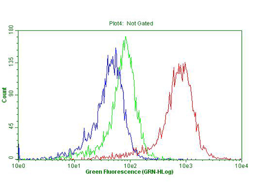 p16INK4a / CDKN2A Antibody - Flow cytometric Analysis of permeabilized Hela cells, using anti-CDKN2A antibody. (Red), compared to an IgG isotype control. (green) and negative control. (PBS). (Blue). (1:100)