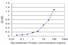 P2RX5 / P2X5 Antibody - Detection limit for recombinant GST tagged P2RX5 is approximately 1 ng/ml as a capture antibody.