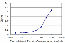 P2RY1 / P2Y1 Antibody - Detection limit for recombinant GST tagged P2RY1 is approximately 1 ng/ml as a capture antibody.
