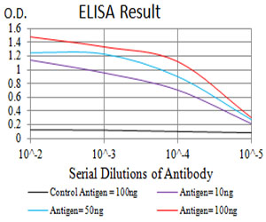 P2RY12 / P2Y12 Antibody - Black line: Control Antigen (100 ng);Purple line: Antigen (10ng); Blue line: Antigen (50 ng); Red line:Antigen (100 ng)