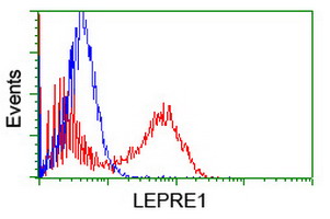 P3H1 / LEPRE1 Antibody - HEK293T cells transfected with either overexpress plasmid (Red) or empty vector control plasmid (Blue) were immunostained by anti-LEPRE1 antibody, and then analyzed by flow cytometry.