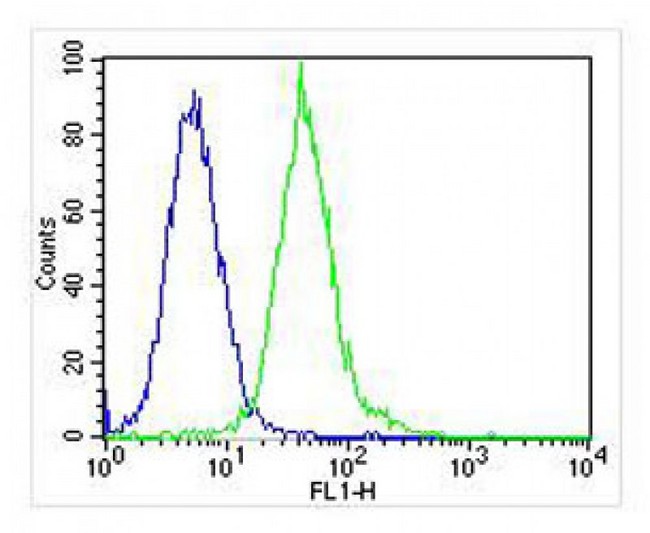 p56lck / LCK Antibody - Overlay histogram showing Jurkat cells stained with antibody (green line). The cells were fixed with 2% paraformaldehyde (10 min) and then permeabilized with 90% methanol for 10 min. The cells were then incubated in 2% bovine serum albumin to block non-specific protein-protein interactions followed by the antibody (antibody, 1:25 dilution) for 60 min at 37°C. The secondary antibody used was Goat-Anti-Mouse IgG, DyLight 488 Conjugated Highly Cross-Adsorbed at 1:400 dilution for 40 min at 37 ° C. Isotype control antibody (blue line) was mouse IgG (1ug/1x10^6 cells) used under the same conditions. Acquisition of >10, 000 events was performed.