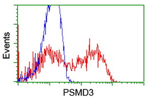 p58 / PSMD3 Antibody - HEK293T cells transfected with either overexpress plasmid (Red) or empty vector control plasmid (Blue) were immunostained by anti-PSMD3 antibody, and then analyzed by flow cytometry.