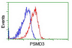 p58 / PSMD3 Antibody - Flow cytometry of HeLa cells, using anti-PSMD3 antibody (Red), compared to a nonspecific negative control antibody (Blue).