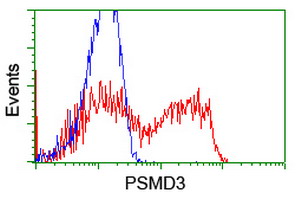 p58 / PSMD3 Antibody - HEK293T cells transfected with either overexpress plasmid (Red) or empty vector control plasmid (Blue) were immunostained by anti-PSMD3 antibody, and then analyzed by flow cytometry.