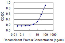 PA2G4 / EBP1 Antibody - Detection limit for recombinant GST tagged PA2G4 is 1 ng/ml as a capture antibody.