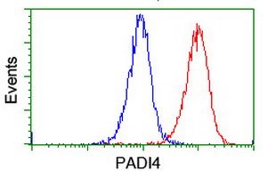PADI4 / PAD4 Antibody - Flow cytometry of Jurkat cells, using anti-PADI4 antibody (Red), compared to a nonspecific negative control antibody (Blue).