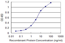 PAI-RBP1 / SERBP1 Antibody - Detection limit for recombinant GST tagged SERBP1 is 0.03 ng/ml as a capture antibody.