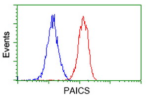 PAICS / ADE2 Antibody - Flow cytometry of Jurkat cells, using anti-PAICS antibody, (Red), compared to a nonspecific negative control antibody, (Blue).