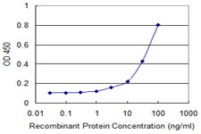 PAIP1 Antibody - Detection limit for recombinant GST tagged PAIP1 is 1 ng/ml as a capture antibody.