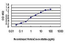 PAK1 Antibody - Detection limit for recombinant GST tagged PAK1 is approximately 0.1 ng/ml as a capture antibody.