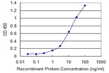 PAK2 Antibody - Detection limit for recombinant GST tagged PAK2 is 0.1 ng/ml as a capture antibody.