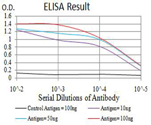 PAK3 Antibody - Black line: Control Antigen (100 ng);Purple line: Antigen (10ng); Blue line: Antigen (50 ng); Red line:Antigen (100 ng)