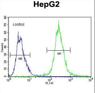 PALB2 Antibody - PALB2 Antibody flow cytometry of HepG2 cells (right histogram) compared to a negative control cell (left histogram). FITC-conjugated goat-anti-rabbit secondary antibodies were used for the analysis.