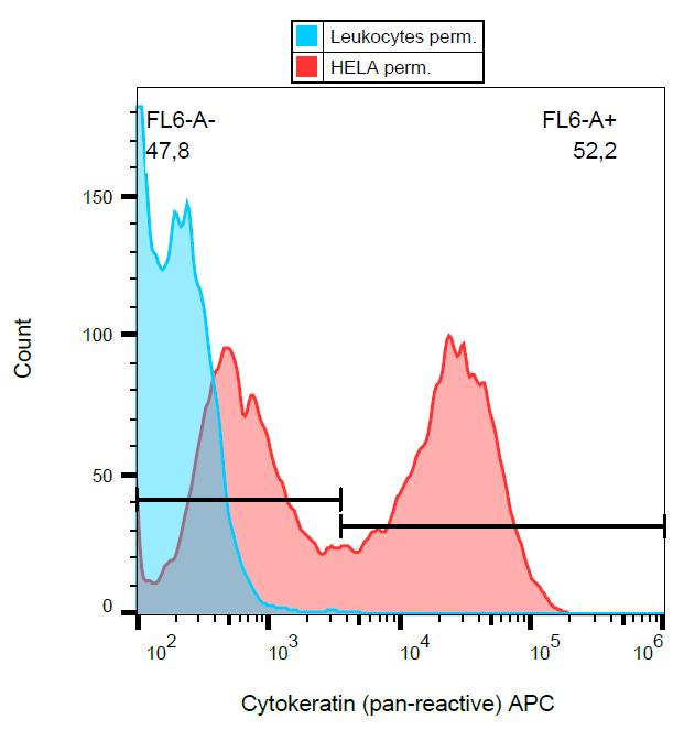 Pan Cytokeratin Antibody - Intracellular flow cytometry analysis of cytokeratin expression in HeLa cells using anti-cytokeratin antibody (C-11) APC.
