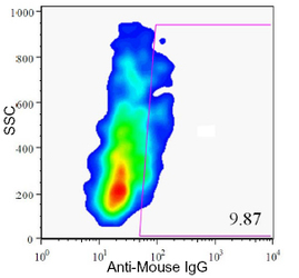 Pancreas Marker HPa1 Antibody - HPa1 Antibody (DHIC2-2C12) - HPa1 antibody (DHIC2-2C12) - Flow cytometry of enzyme dispersed human pancreas cells.  This image was taken for the unconjugated form of this product. Other forms have not been tested.