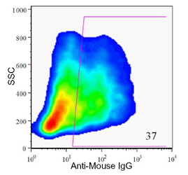 Pancreas Marker HPx2 Antibody - HPx2 Antibody (HIC0-1C10) - HPx2 antibody (HIC1-IC10) - Flow cytometry of enzyme dispersed human pancreas cells.  This image was taken for the unconjugated form of this product. Other forms have not been tested.