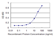 PANK4 Antibody - Detection limit for recombinant GST tagged PANK4 is 0.3 ng/ml as a capture antibody.