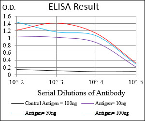 PAPLN Antibody - Red: Control Antigen (100ng); Purple: Antigen (10ng); Green: Antigen (50ng); Blue: Antigen (100ng);