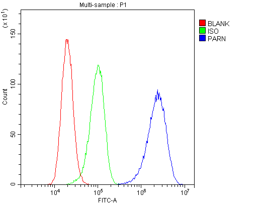 PARN Antibody - Flow Cytometry analysis of A431 cells using anti-PARN antibody. Overlay histogram showing A431 cells stained with anti-PARN antibody (Blue line). The cells were blocked with 10% normal goat serum. And then incubated with rabbit anti-PARN Antibody (1µg/10E6 cells) for 30 min at 20°C. DyLight®488 conjugated goat anti-rabbit IgG (5-10µg/10E6 cells) was used as secondary antibody for 30 minutes at 20°C. Isotype control antibody (Green line) was rabbit IgG (1µg/10E6 cells) used under the same conditions. Unlabelled sample (Red line) was also used as a control.