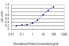 PARP1 Antibody - Detection limit for recombinant GST tagged PARP1 is approximately 0.1 ng/ml as a capture antibody.