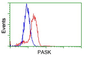 PAS Kinase / PASK Antibody - Flow cytometry of HeLa cells, using anti-PASK antibody, (Red) compared to a nonspecific negative control antibody (Blue).