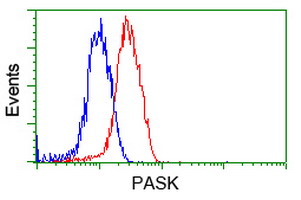 PAS Kinase / PASK Antibody - Flow cytometry of Jurkat cells, using anti-PASK antibody, (Red) compared to a nonspecific negative control antibody (Blue).