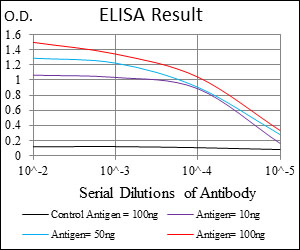 ACP5 / TRAP Antibody - Red: Control Antigen (100ng); Purple: Antigen (10ng); Green: Antigen (50ng); Blue: Antigen (100ng);