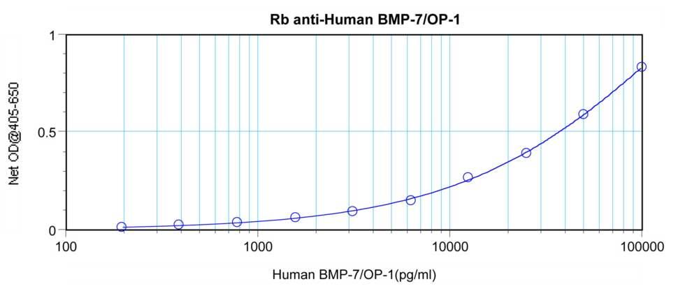 BMP7 Antibody - Anti-Human BMP-7 Sandwich ELISA