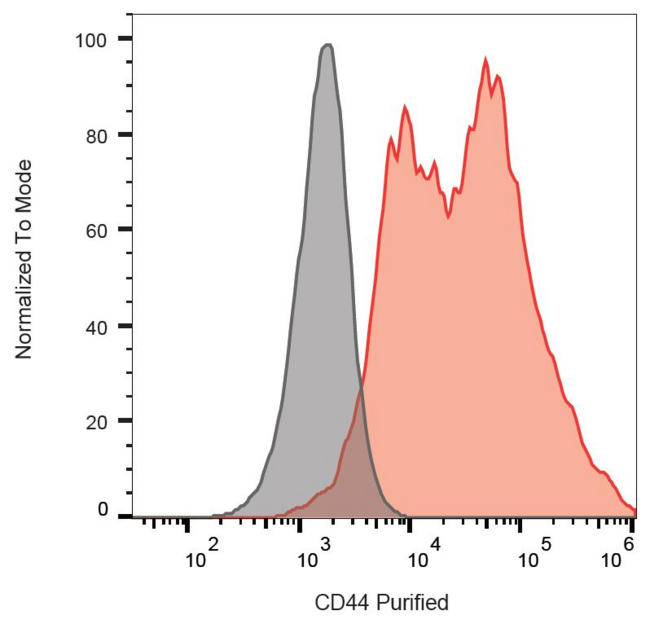 CD44 Antibody - Surface staining of murine splenocytes with anti-CD44 (IM7) purified / DAR-APC.