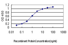 CDH17 / Cadherin 17 Antibody - Detection limit for recombinant GST tagged CDH17 is approximately 0.03 ng/ml as a capture antibody.