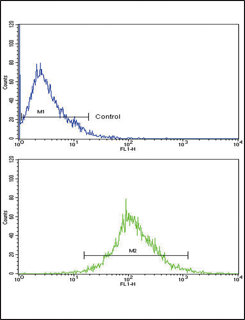 CTSB / Cathepsin B Antibody - Flow cytometric of HepG2 cells using CATB Antibody (bottom histogram) compared to a negative control cell (top histogram). FITC-conjugated goat-anti-rabbit secondary antibodies were used for the analysis.