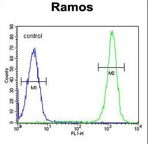 ETFA Antibody - ETFA Antibody flow cytometry of Ramos cells (right histogram) compared to a negative control cell (left histogram). FITC-conjugated goat-anti-rabbit secondary antibodies were used for the analysis.