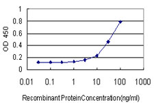 FGF1 / Acidic FGF Antibody - Detection limit for recombinant GST tagged FGF1 is approximately 3 ng/ml as a capture antibody.