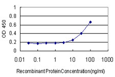 FGF1 / Acidic FGF Antibody - Detection limit for recombinant GST tagged FGF1 is approximately 10 ng/ml as a capture antibody.