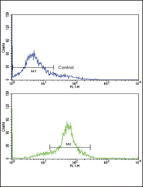 GCG / Glucagon Antibody - Flow cytometric of WiDr cells using Glucagon Antibody (bottom histogram) compared to a negative control cell (top histogram). FITC-conjugated goat-anti-rabbit secondary antibodies were used for the analysis.