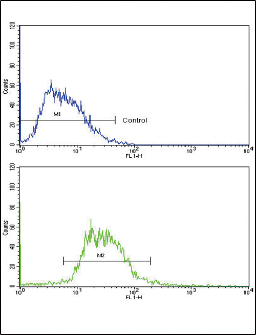GCG / Glucagon Antibody - Flow cytometric of HepG2 cells using GCG Antibody (bottom histogram) compared to a negative control cell (top histogram). FITC-conjugated goat-anti-rabbit secondary antibodies were used for the analysis.
