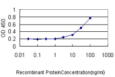 GPR3 Antibody - Detection limit for recombinant GST tagged GPR3 is approximately 0.03 ng/ml as a capture antibody.