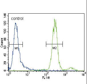 HGF / Hepatocyte Growth Factor Antibody - HGF Antibody flow cytometry of CEM cells (right histogram) compared to a negative control cell (left histogram). FITC-conjugated goat-anti-rabbit secondary antibodies were used for the analysis.