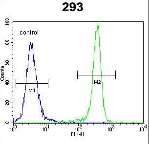 IDH1 / IDH Antibody - IDH1 Antibody flow cytometry of 293 cells (right histogram) compared to a negative control cell (left histogram). FITC-conjugated goat-anti-rabbit secondary antibodies were used for the analysis.