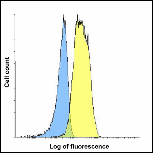 LAG3 Antibody - Flow cytometry analysis of LAG-3 over expressing HEK293 cells using LAG-3 antibody at 1 ug/ml. Blue: untransfected HEK293 cells. Yellow: LAG-3 over expressing HEK293 cells.