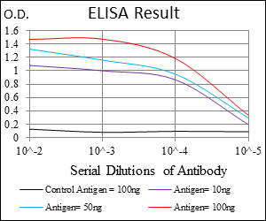 MCAM / CD146 Antibody - Black: Control Antigen (100ng); Purple: Antigen (10ng); Blue: Antigen (50ng); Red: Antigen (100ng);