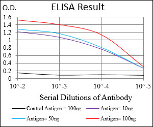 MCAM / CD146 Antibody - Red: Control Antigen (100ng); Purple: Antigen (10ng); Green: Antigen (50ng); Blue: Antigen (100ng);