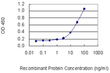 MPO / Myeloperoxidase Antibody - Detection limit for recombinant GST tagged MPO is 0.3 ng/ml as a capture antibody.