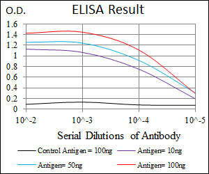 MSN / Moesin Antibody - Black: Control Antigen (100ng); Purple: Antigen (10ng); Blue: Antigen (50ng); Red: Antigen (100ng);