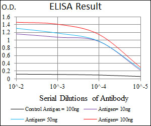 NOS2 / iNOS Antibody - Black: Control Antigen (100ng); Purple: Antigen (10ng); Blue: Antigen (50ng); Red: Antigen (100ng);