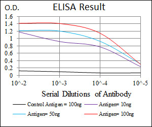 PAX5 Antibody - Red: Control Antigen (100ng); Purple: Antigen (10ng); Green: Antigen (50ng); Blue: Antigen (100ng);